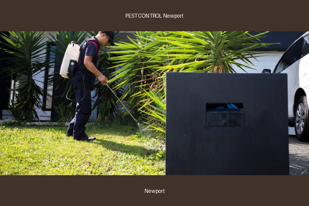 PEST CONTROL Newport